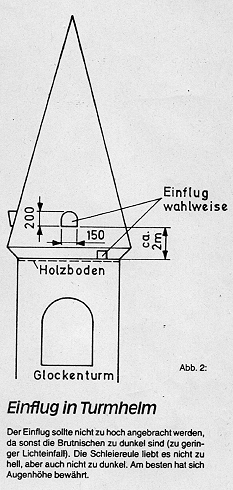 Nistkasten im Kirchturm